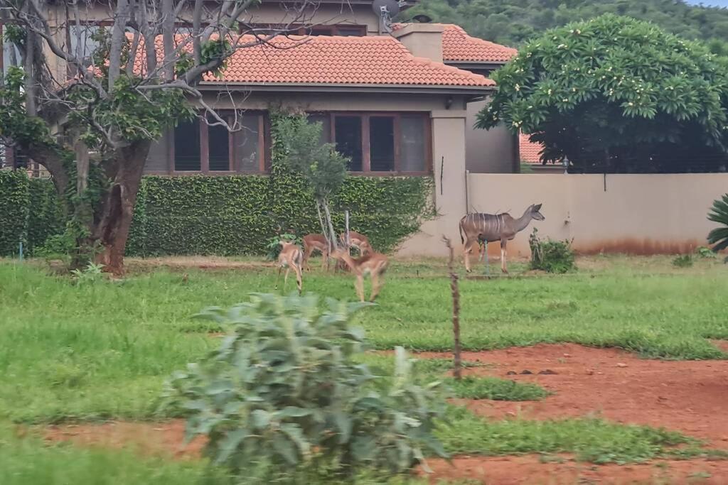 66 Sharalumbi Wildlife Estate Leilighet Lydenburg Eksteriør bilde