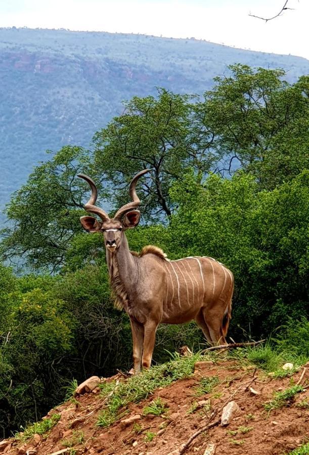 66 Sharalumbi Wildlife Estate Leilighet Lydenburg Eksteriør bilde