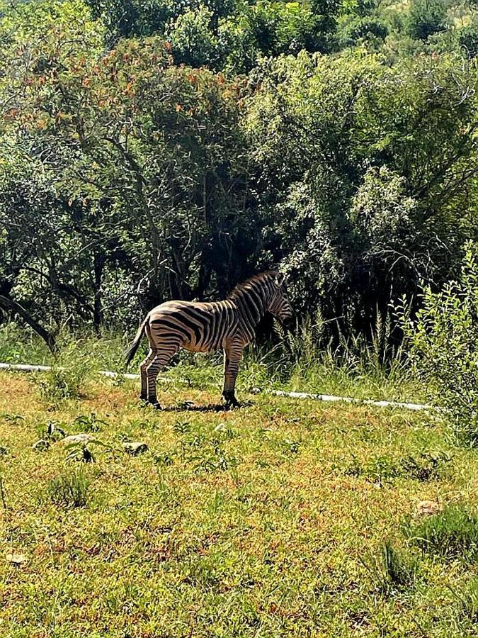 66 Sharalumbi Wildlife Estate Leilighet Lydenburg Eksteriør bilde