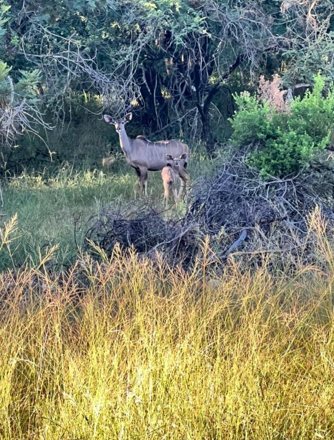 66 Sharalumbi Wildlife Estate Leilighet Lydenburg Eksteriør bilde