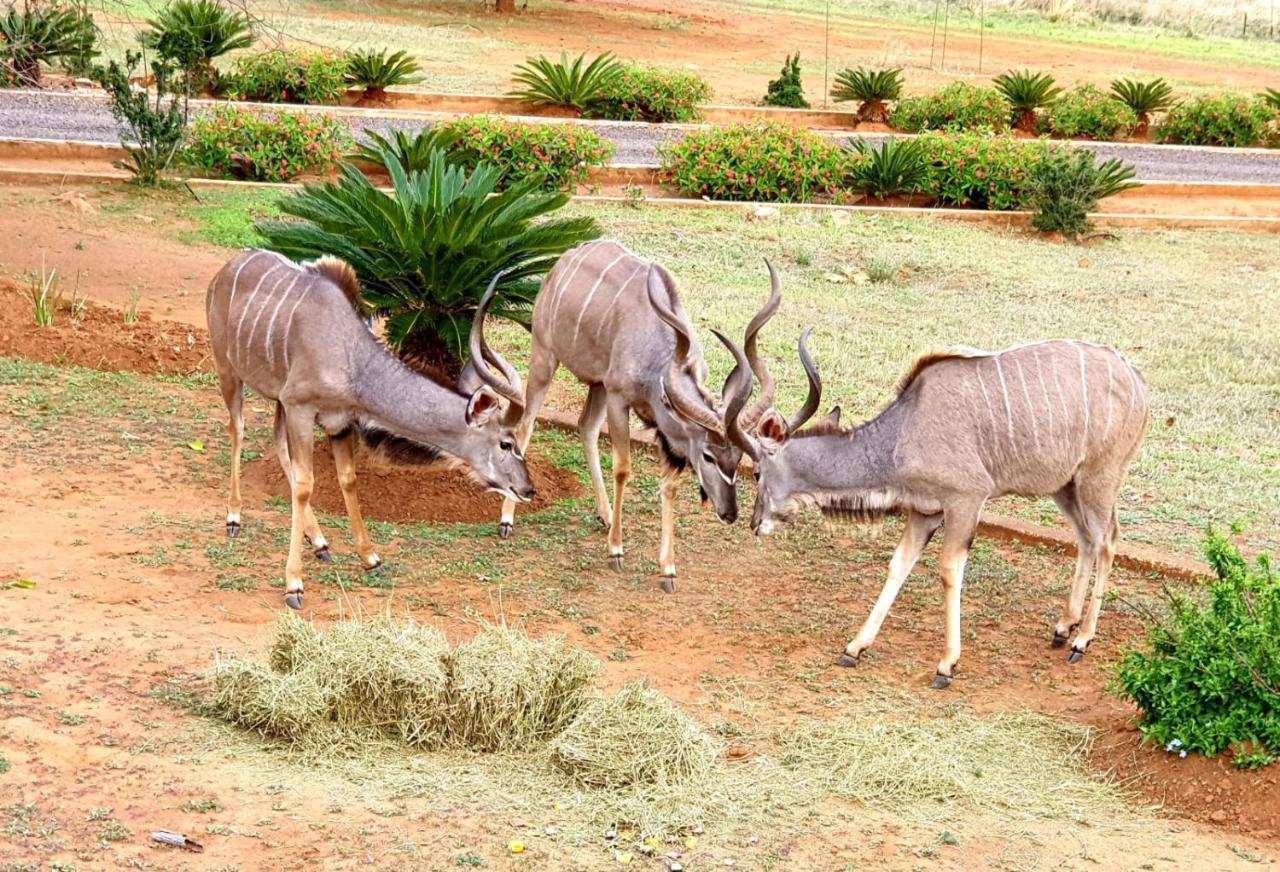 66 Sharalumbi Wildlife Estate Leilighet Lydenburg Eksteriør bilde