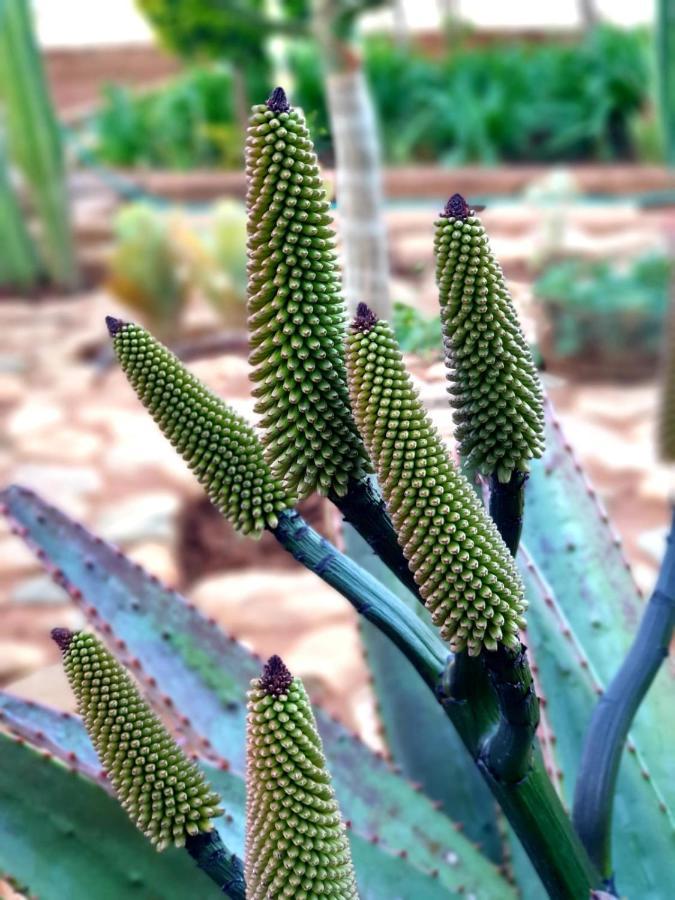 66 Sharalumbi Wildlife Estate Leilighet Lydenburg Eksteriør bilde