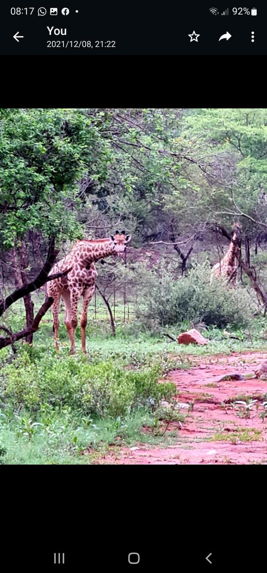 66 Sharalumbi Wildlife Estate Leilighet Lydenburg Rom bilde