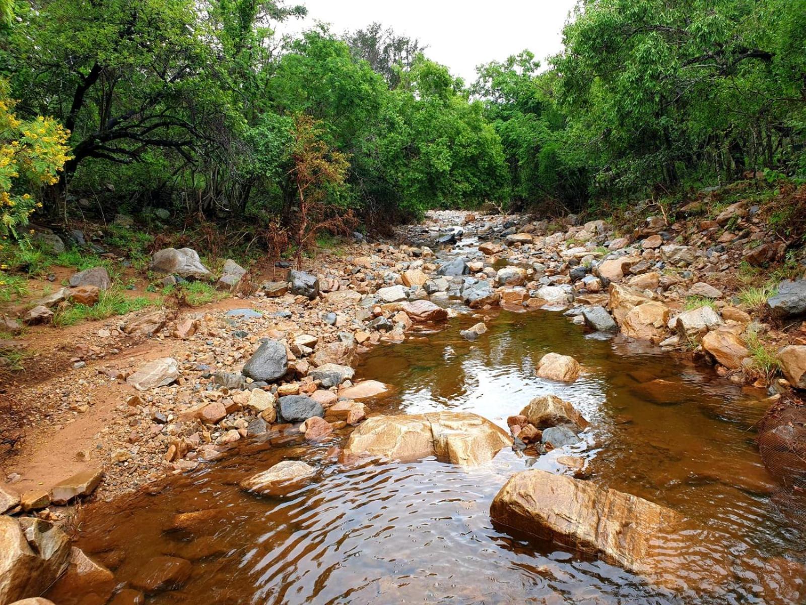 66 Sharalumbi Wildlife Estate Leilighet Lydenburg Rom bilde